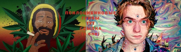 МДМА Алексеевка