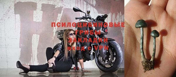 a pvp Алзамай
