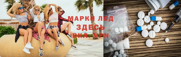 прущие грибы Арсеньев