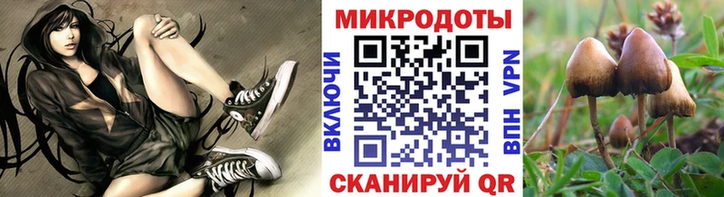 Галлюциногенные грибы Psilocybe  Купить где  Кировград 